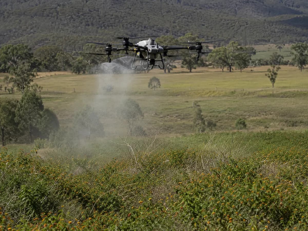 Drone spot spraying weeds on acreage